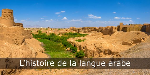L'histoire de la langue arabe